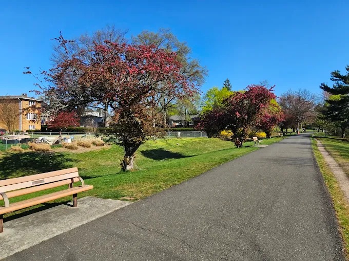 Saddle River County Park | Image of park's running trail