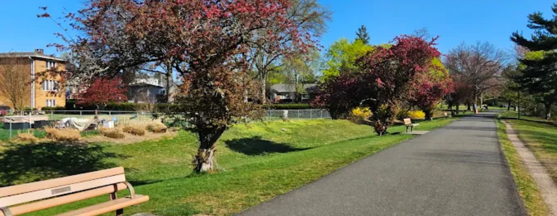 Best Running Trails in Hackensack | Image of Park's walking trail