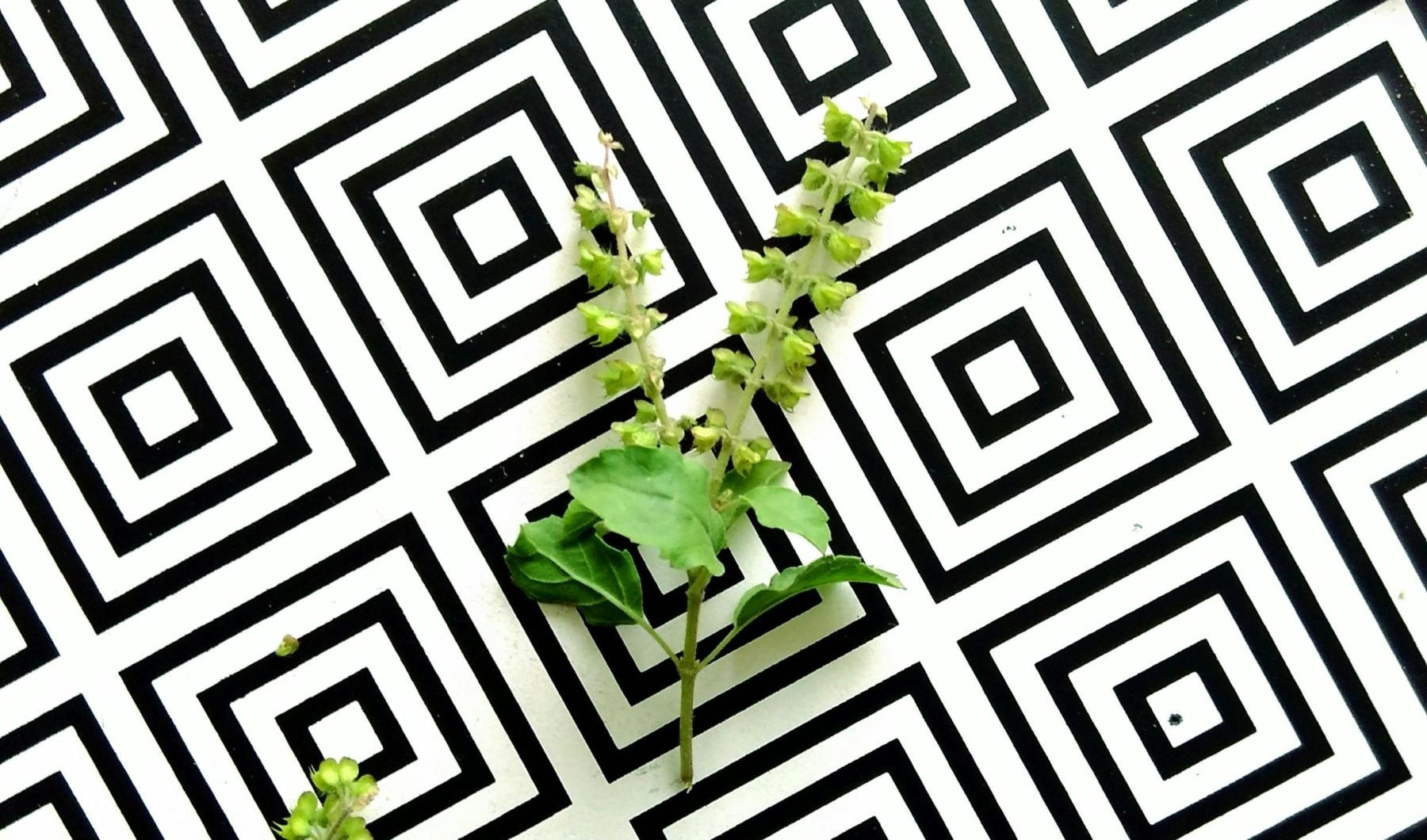 background pattern